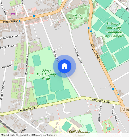 Kingston Lane, TW11, London