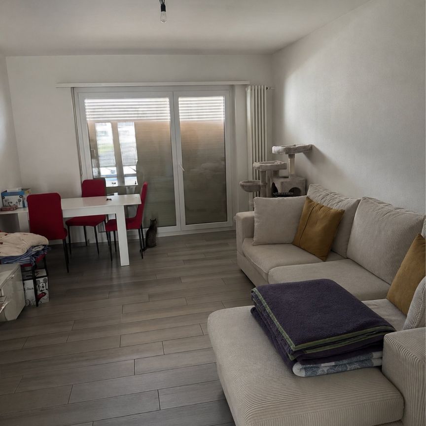 3 Zimmer, 80 m² - Foto 1