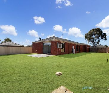 Light-filled 3-bedroom home with two living areas and a large backyard - Photo 2