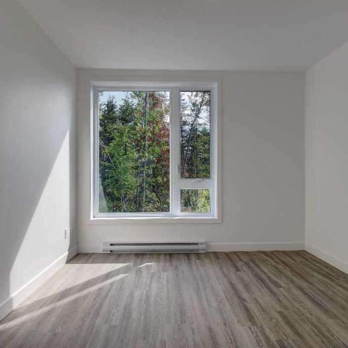 Spacieux 3 1/2 à louer à Sherbrooke - Photo 1