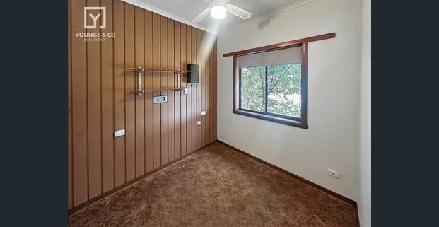 Don't Miss This Opportunity- Out of Town Living! - Photo 1