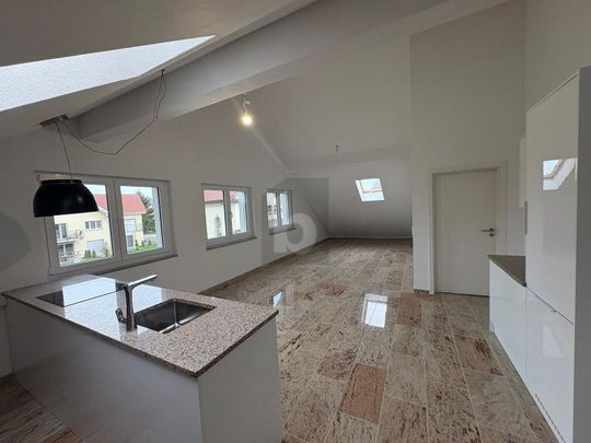 NEW CONSTRUCTION FIRST-TIME RENTAL WITH SPECIAL CHARM - Photo 1