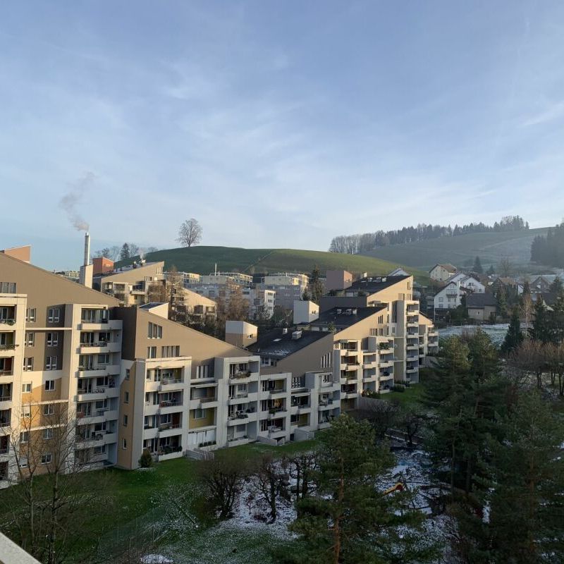 Ihre neue 2.5 Zimmer Wohnung mit einem grossen Wohnzimmer über den Dächern von St.Gallen - Photo 1