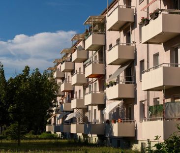 Familien aufgepasst! Frisch sanierte 4 Raum-Wohnung zum Wohlfühlen - Photo 2