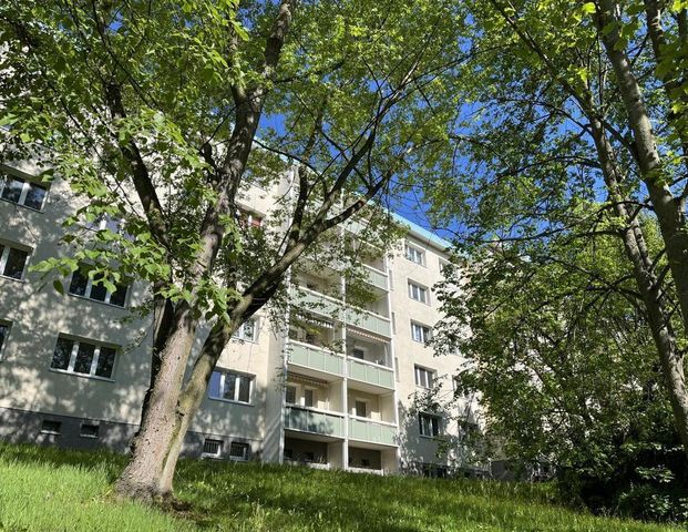 3-Raum-Wohnung - Foto 1
