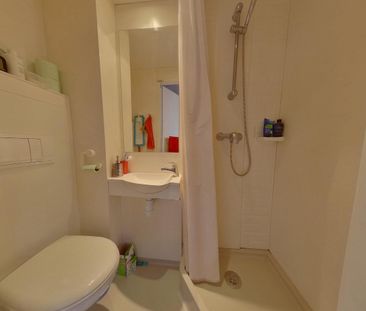 Location Appartement 1 pièce 16m² STRASBOURG 67000 - Photo 3