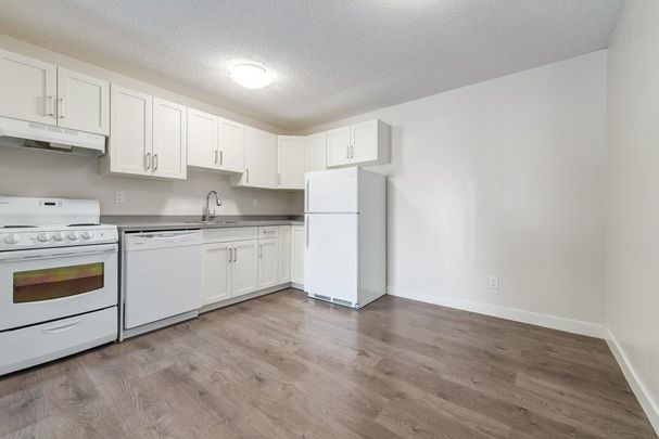 Renovated Suite - 3 Bedroom - Photo 1