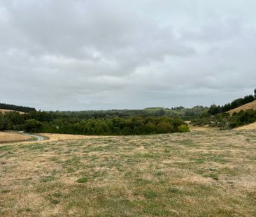 Two Bedroom Semi Furnished Cottage - Photo 5