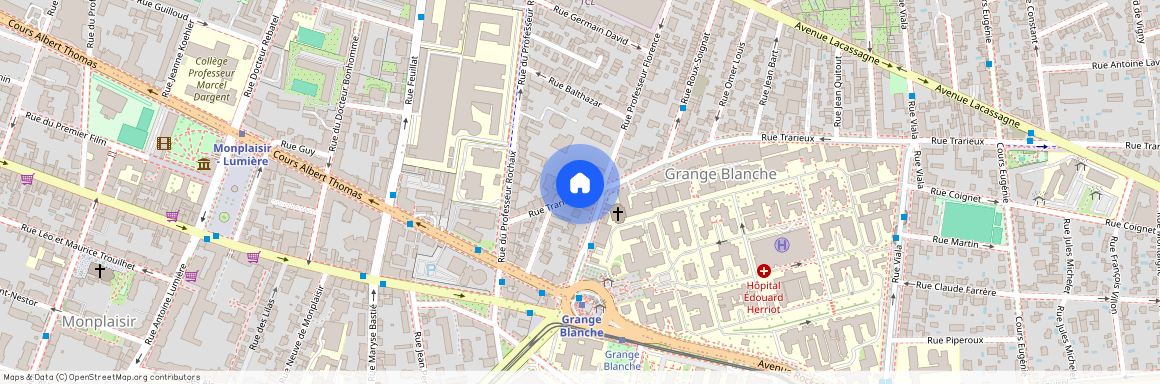 11 RUE TRARIEUX, LYON 3EME ARRONDISSEMENT