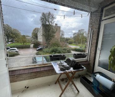 Te huur: Appartement Parelmoerhorst 44 in Den Haag - Foto 2