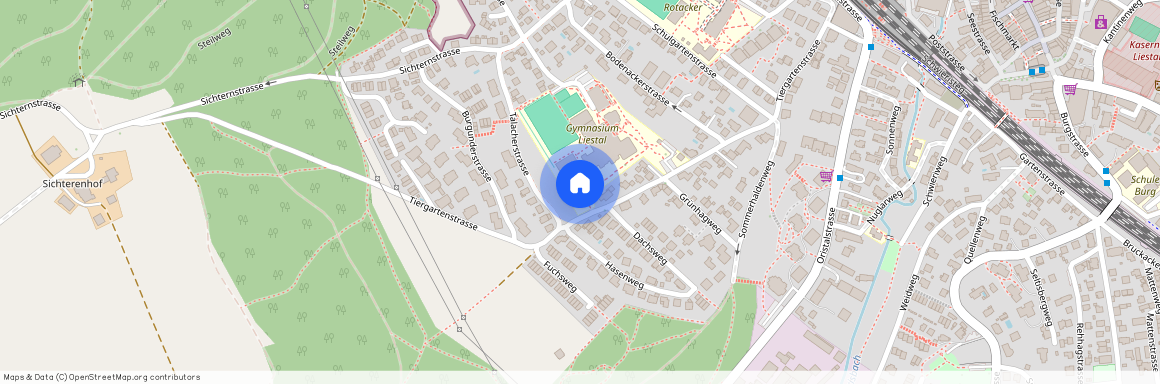 4410, Liestal, Tiergartenstrasse, 50c