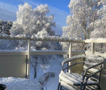 Februari gatan, Göteborg - Foto 5