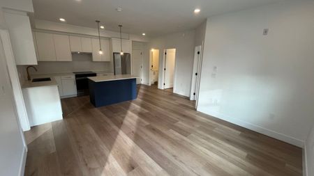 Brand New Spacious 2 Bedroom Condo - Photo 3