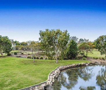 Large Studio unit with open Living area and courtyard - Photo 1