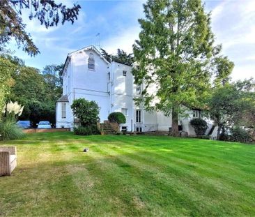 Converted apartment with one bedroom and BONUS ROOM set amongst won... - Photo 6