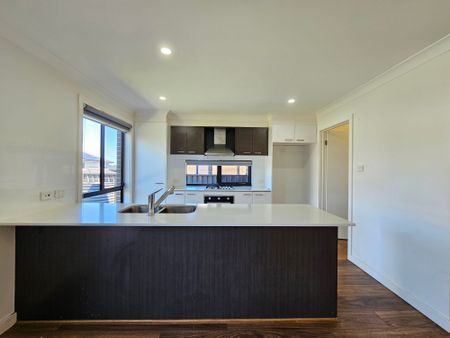 Modern and Spacious Family home in the heart of Colebee - Photo 4
