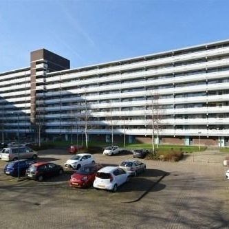 Belvédèrebos 0ong, 2715 VP Zoetermeer, Nederland - Foto 1