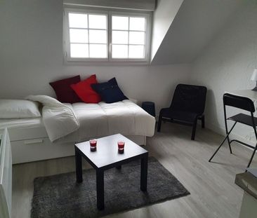 Location Appartement 1 pièce 14m² OLIVET 45160 - Photo 2