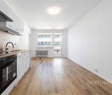 Pronájem bytu 2+1 35 m2 - Fotografie 6