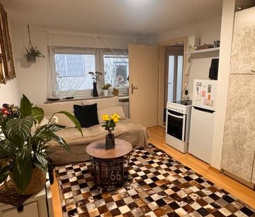 Nachmitte suchen - Photo 4