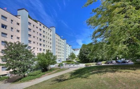 Vivre dans la Sonnhalde - Photo 2