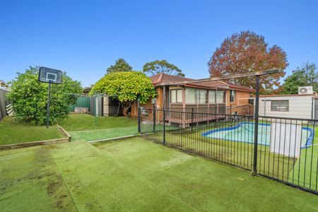 Minto - Photo 5