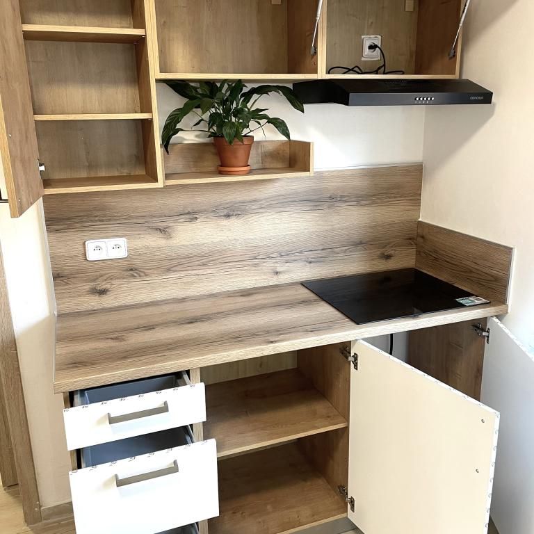 Pronájem bytu 2+1 200 m2 - Fotografie 1