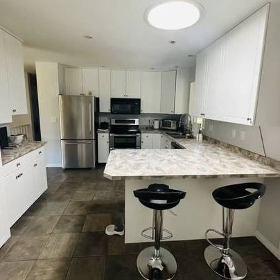 Spacious renovated 3 bedroom 2 bath with yard & pet friendly - Photo 3