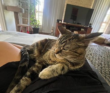 Sanctuary Point - Photo 2