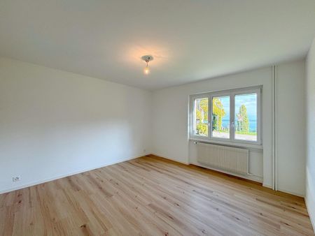 Beautiful apartment 3.5p – 2 CHB / Garden with lake view / Private workshop - Photo 3