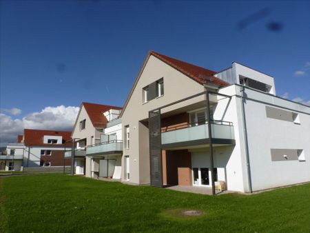 F2 BBC – Domaine des Cépages - Photo 5