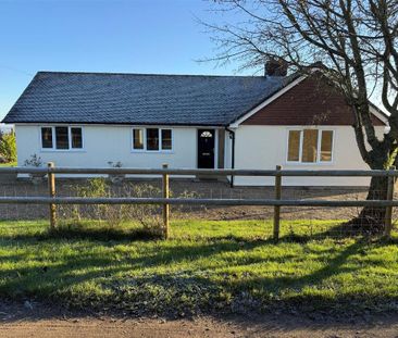 3 bedroom detached bungalow to rent - Photo 6
