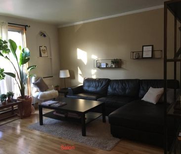 N.D.G. NDG, 3-1/2 (800pc) totalement renove, Juillet Juillet, NDG T... - Photo 1