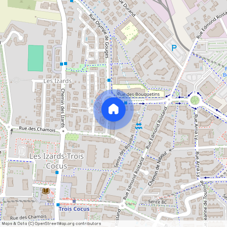 10 Rue des Bouquetins, 31200, Toulouse