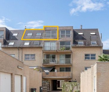 Appartement te huur in Ninove voor € 750 met 1 slaapkamer - Foto 1