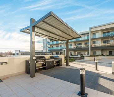 92/227 Flemington Road, Harrison ACT 2914 - House For Rent | Domain - Photo 1