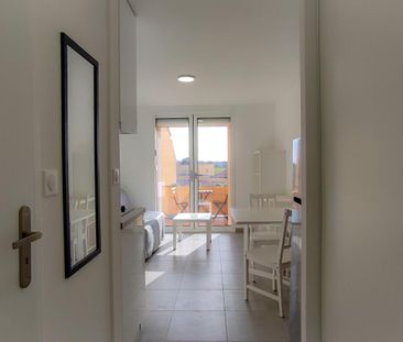 Location Appartement 1 pièce Meublé 17m² LA LONDE LES MAURES 83250 - Photo 5