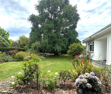 Tranquil Coastal Living - Photo 5