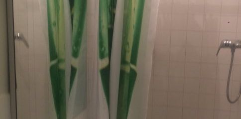 Location / Appartement T1 - Photo 2