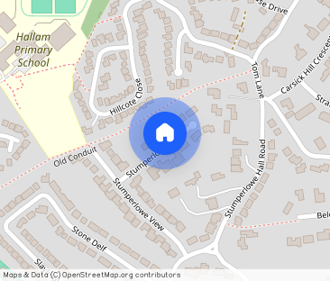 Stumperlowe Croft, Sheffield, S10 3QW - Photo 1
