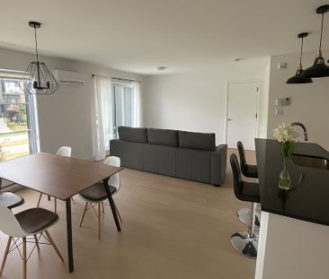 GRAND 4 ½ MODERNE, INTERNET + 2 STAT - Photo 3