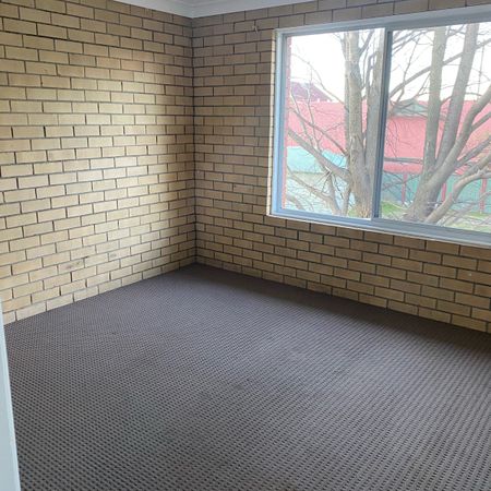 Fresh Unit - Photo 4