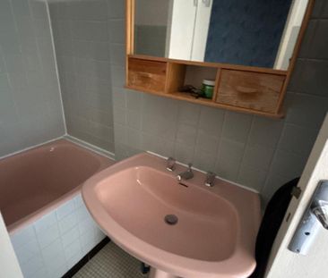 Location Appartement 1 pièce 25m² TOULOUSE 31000 - Photo 6