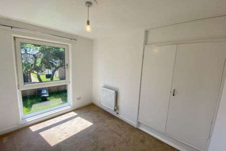 Whitewood Walk - Photo 3