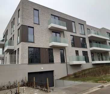 Appartement te huur in Kruisem - Photo 3