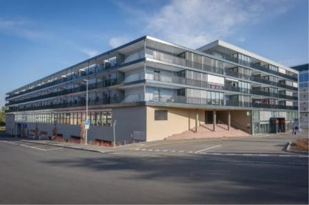 2.5 Zimmer, 55 m², 1. Stock - Foto 4