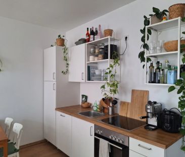 Senefeldergasse: Unbefristet - Sonnige 2 Zimerwohnung - Gute öffentliche Verkehrsanbindung - Photo 1