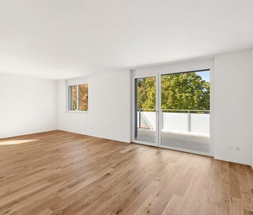 3.5 Zimmer, 81 m², 1. Stock - Foto 1