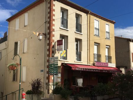 Location Appartement 1 pièce 18m² SOREDE 66690 - Photo 4