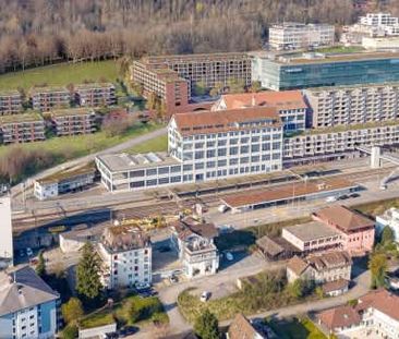 2.5 Zimmer, 53 m², 5. Stock - Foto 5